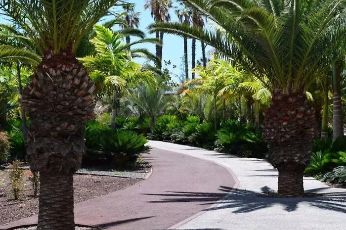 Apartment Orita Las Galletas